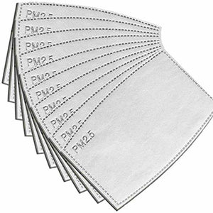 PM 2.5 Filters - My E Three