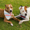 Chicago PAWS Dog Bandana White or BlackNeck Gaiter - My E Three